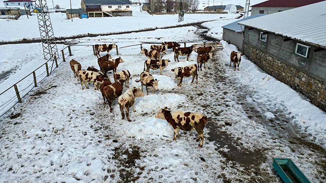 İstanbul'daki işini bıraktı, tek kuruş devlet desteği almadan Erzurum'da dev tesis kurdu 6